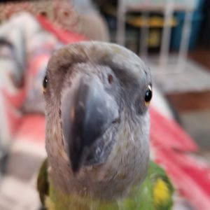 Meet your Posher, Christine